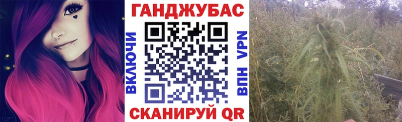Шишки марихуана конопля кракен как зайти Киренск